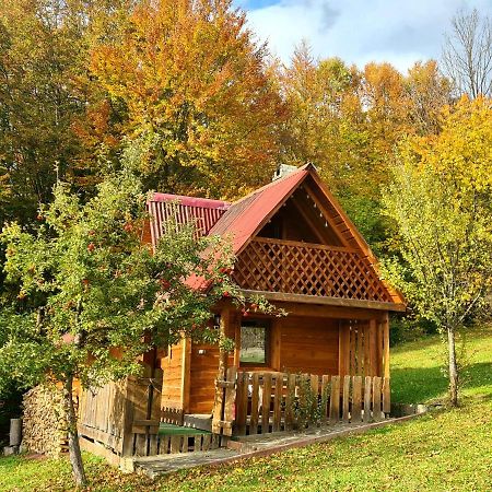 Трембіта Rakhiv Exterior photo