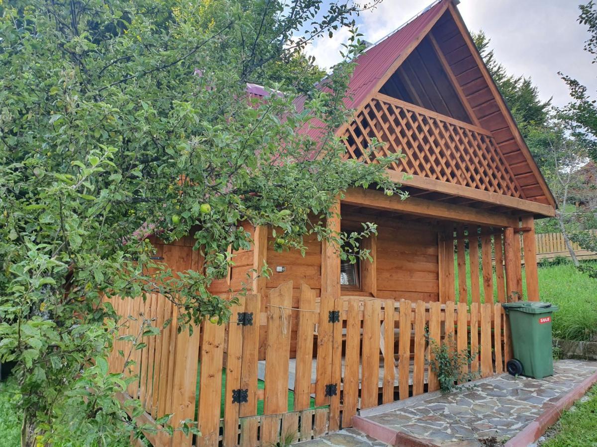 Трембіта Rakhiv Exterior photo