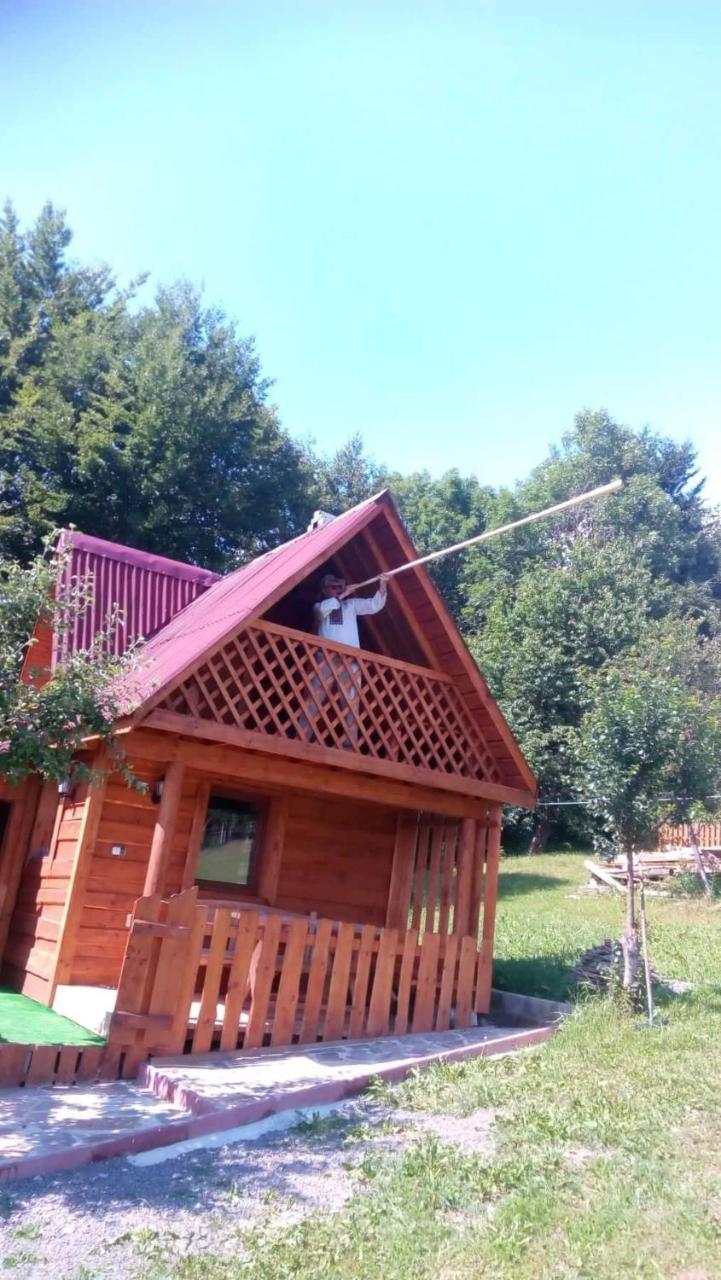 Трембіта Rakhiv Exterior photo